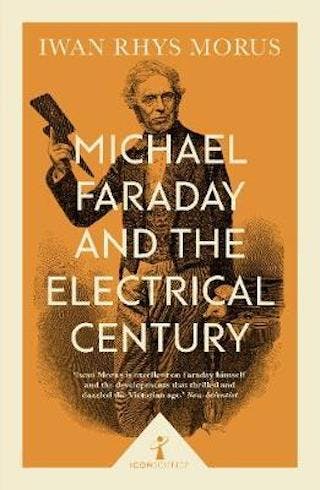 Michael Faraday and the Electrical Century by Iwan Rhys Morus