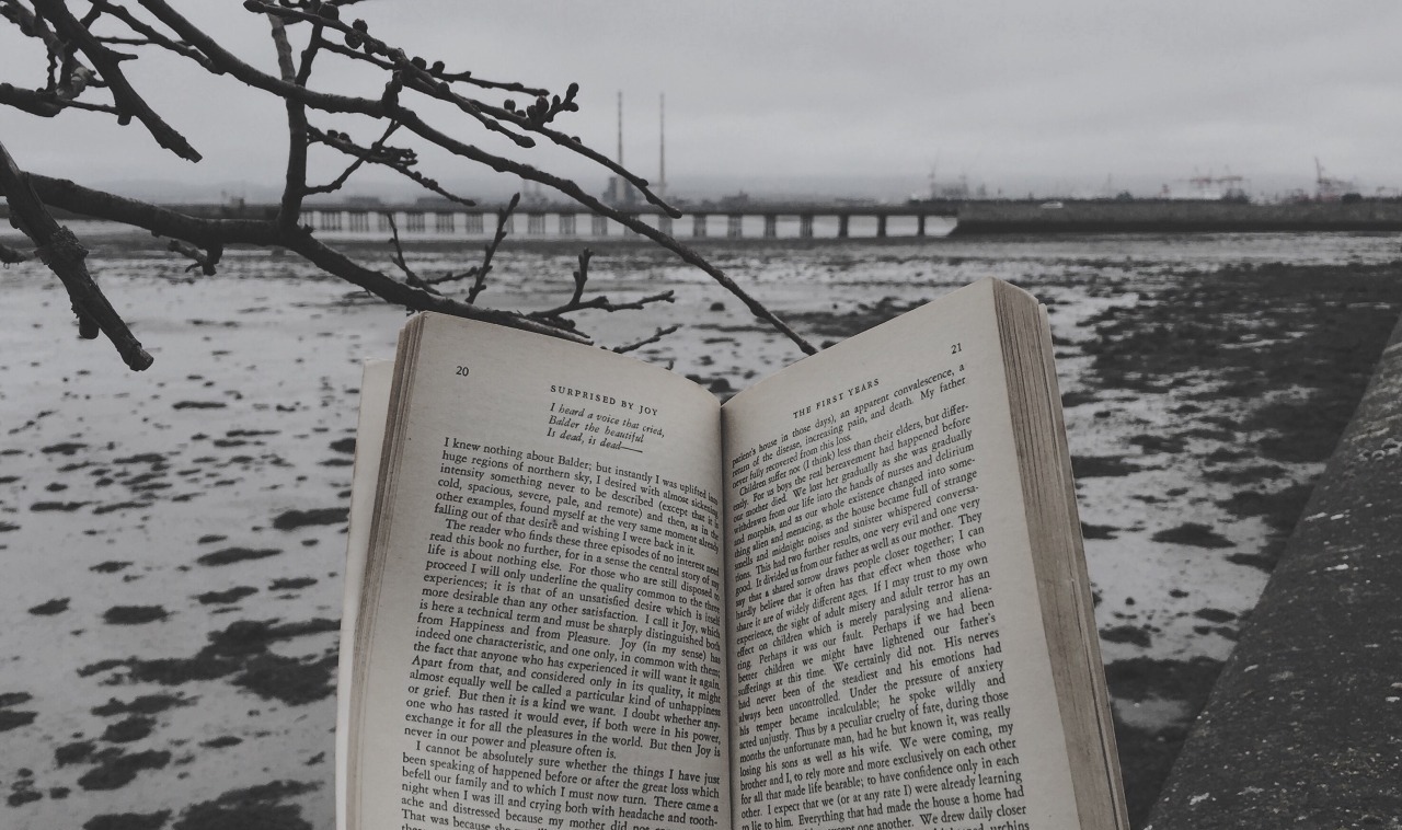 Reading the book Surprised by Joy in Clontarf, Dublin