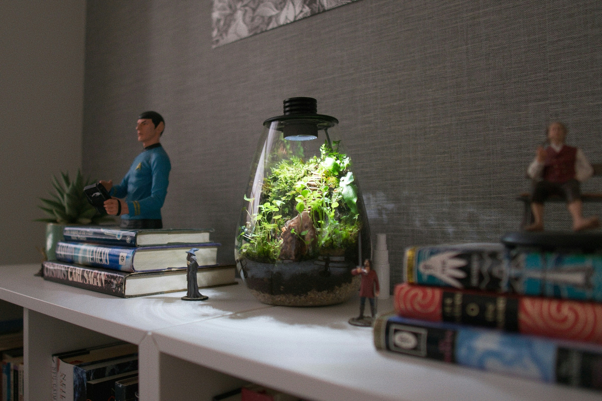 Terrarium next to book piles and some some miniatures figures of Bilbo, Gandalf, Aragorn, and Mr. Spock