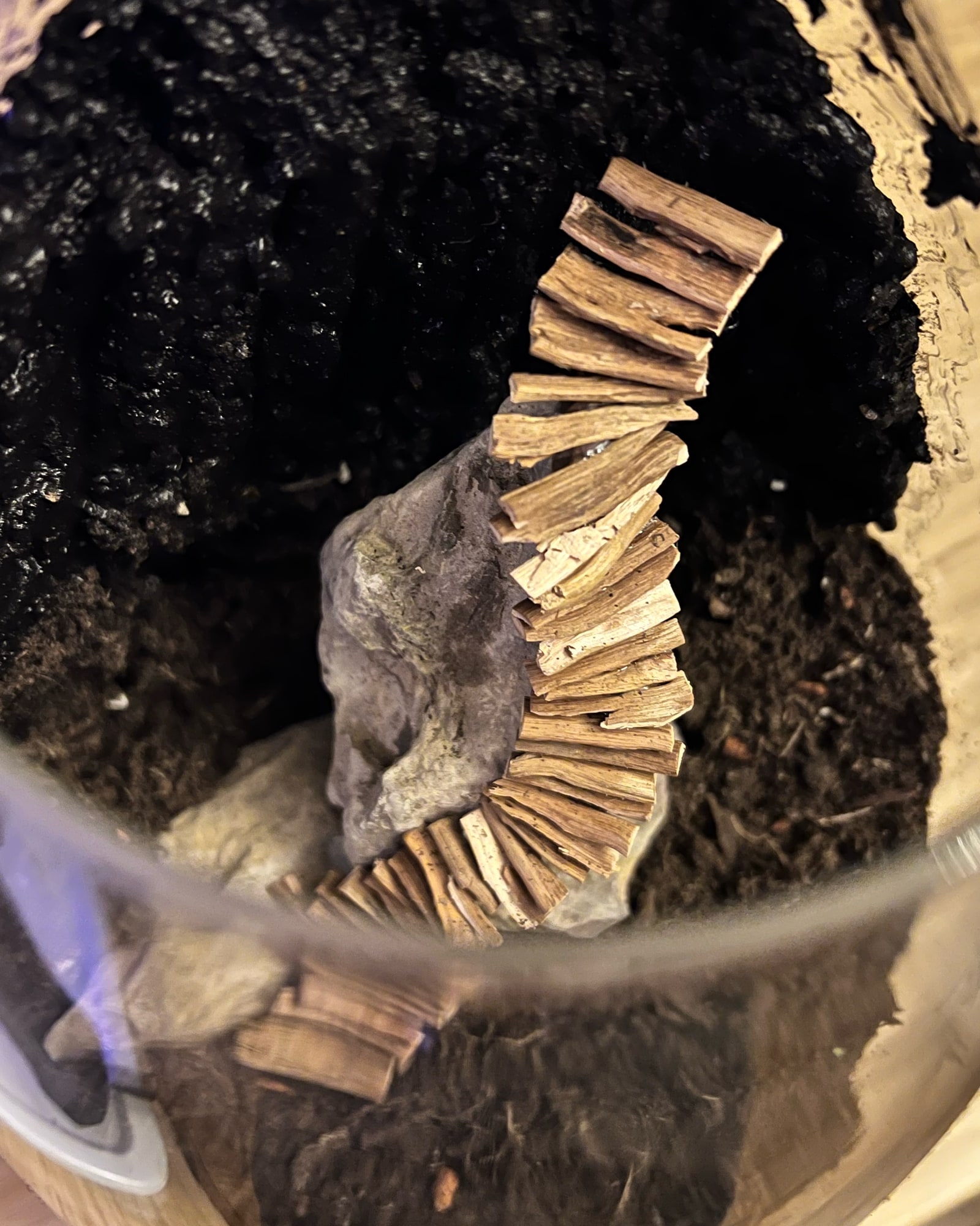 Top view of the miniature staircase inside the terrarium bowl